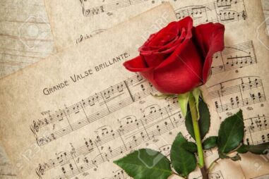 Red rose flower and music notes sheet. Vintage grunge texture