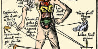 Medical astrology. 16th-century artwork of Zodiac Man, a male body labelled with the twelve signs of the zodiac. This artwork was published in Freiburg in 1503 in the encyclopedia Margarita Philosophica by the German author Gregor Reisch (c.1467-1525). This encyclopedia was very popular, and was one of the standard textbooks of the time. The artwork shows how physicians thought the universe (the Macrocosm) was reflected in the human body (the Microcosm), a central concept in the astrology and natural philosophy of medieval Europe and the Renaissance. The abdominal and thoracic organs are shown by dissection. Increased use of dissections from the late 1400s eventually led to advances in medical science and a decrease in the influence of astrology on medicine.